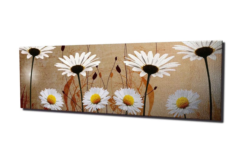 Canvastavla 80x30 cm - Vackra prästkragar i en harmonisk komposition - Vit / Gul / Beige - Inredning & dekor - Tavlor & konst - Canvastavla