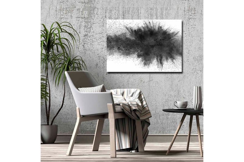 Canvastavla - Abstrakt explosion av svart bläck - Svart / Grå - Inredning & dekor - Tavlor & konst - Canvastavla