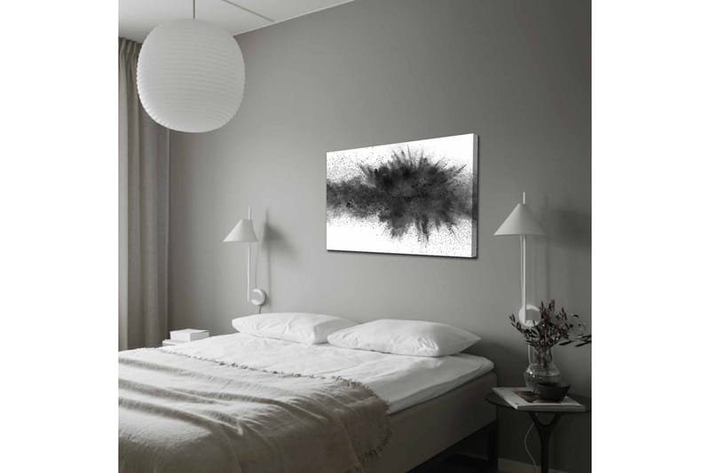 Canvastavla - Abstrakt explosion av svart bläck - Svart / Grå - Inredning & dekor - Tavlor & konst - Canvastavla