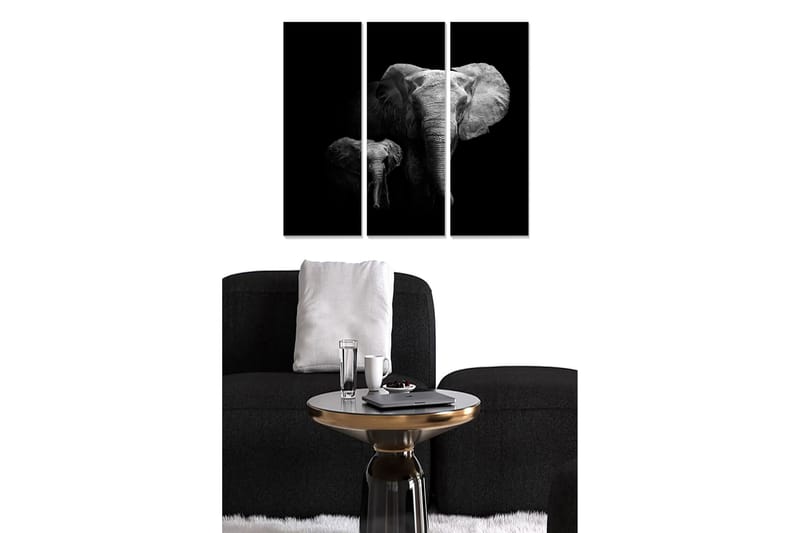 CANVASTAVLA Animal 3-pack Flerfärgad 20x50 cm - Inredning & dekor - Tavlor & konst - Canvastavla