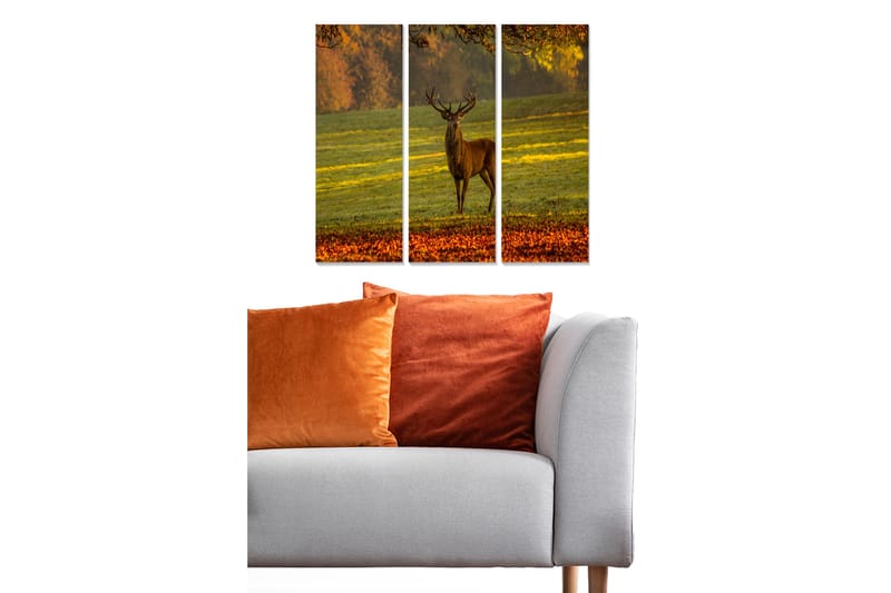 CANVASTAVLA Animal 3-pack Flerfärgad 20x50 cm - Inredning & dekor - Tavlor & konst - Canvastavla