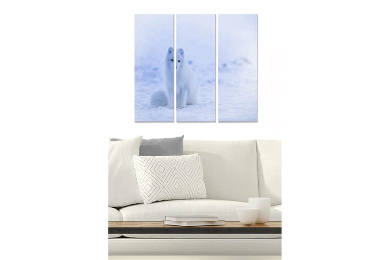 CANVASTAVLA Animal 3-pack Flerfärgad 20x50 cm - Inredning & dekor - Tavlor & konst - Canvastavla