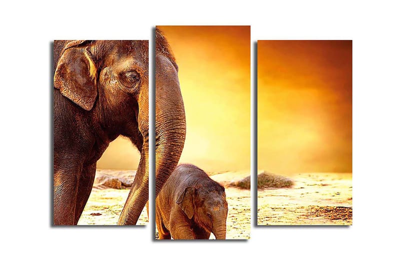 CANVASTAVLA Animal 3-pack Flerfärgad 20x39 cm - Inredning & dekor - Tavlor & konst - Canvastavla