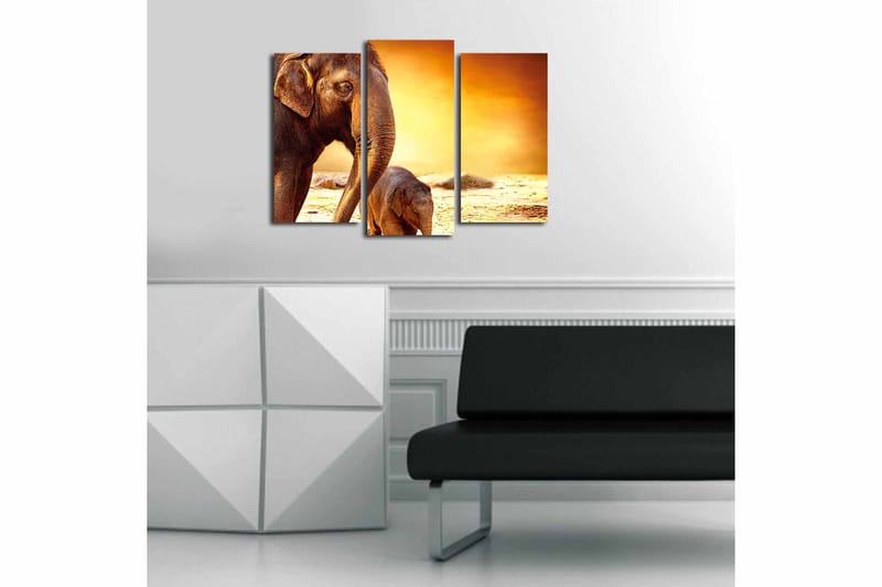 CANVASTAVLA Animal 3-pack Flerfärgad 20x39 cm - Inredning & dekor - Tavlor & konst - Canvastavla