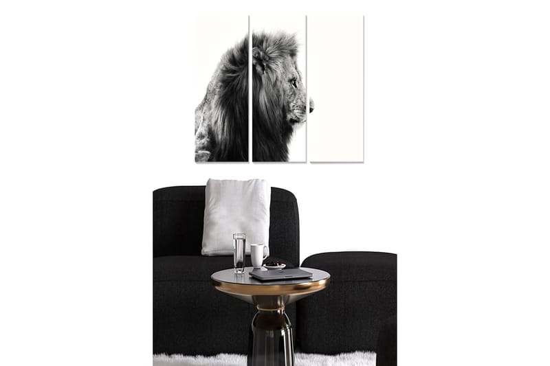 CANVASTAVLA Animal 3-pack Flerfärgad 20x50 cm - Inredning & dekor - Tavlor & konst - Canvastavla