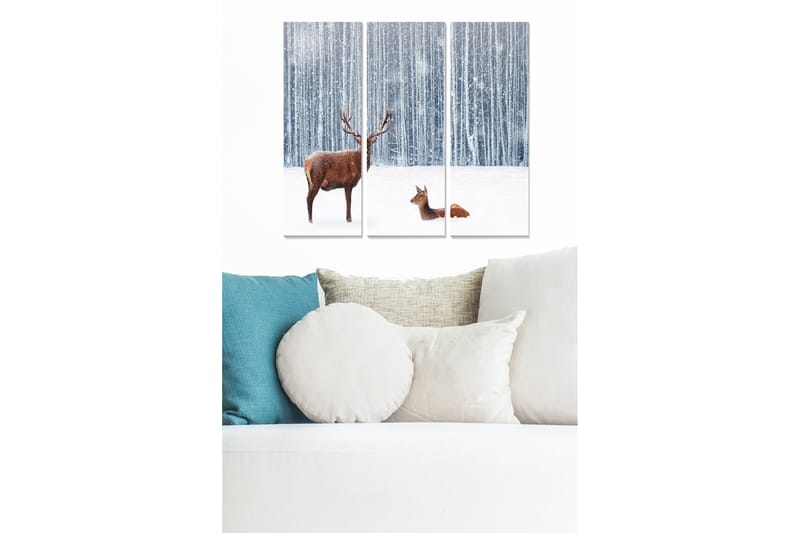 CANVASTAVLA Animal 3-pack Flerfärgad 20x50 cm - Inredning & dekor - Tavlor & konst - Canvastavla