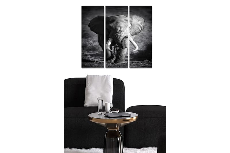 CANVASTAVLA Animal 3-pack Flerfärgad 20x50 cm - Inredning & dekor - Tavlor & konst - Canvastavla