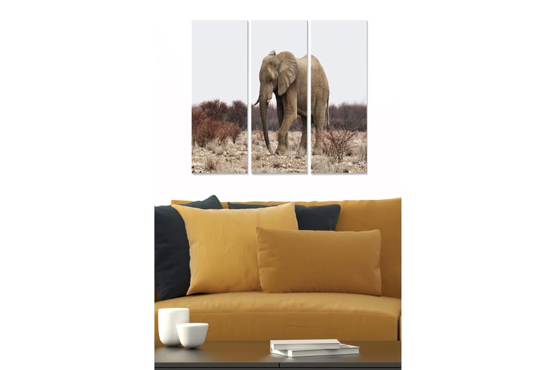 CANVASTAVLA Animal 3-pack Flerfärgad 20x50 cm - Inredning & dekor - Tavlor & konst - Canvastavla