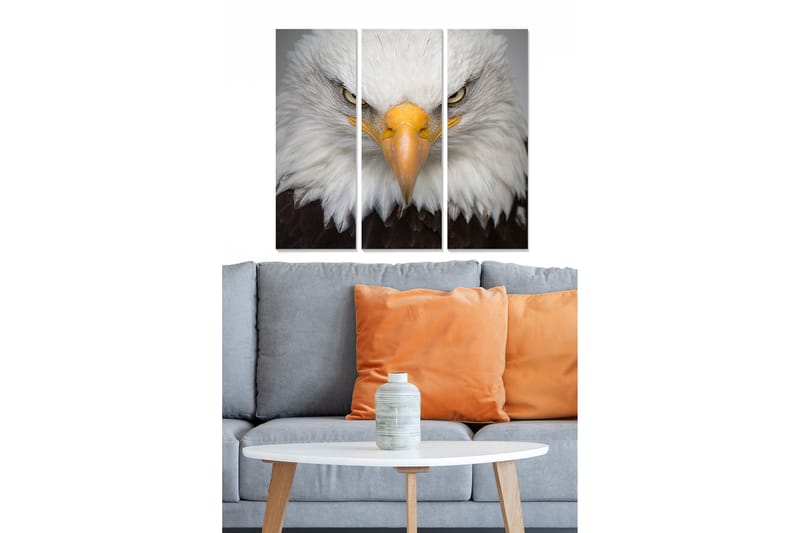 CANVASTAVLA Animal 3-pack Flerfärgad 20x50 cm - Inredning & dekor - Tavlor & konst - Canvastavla