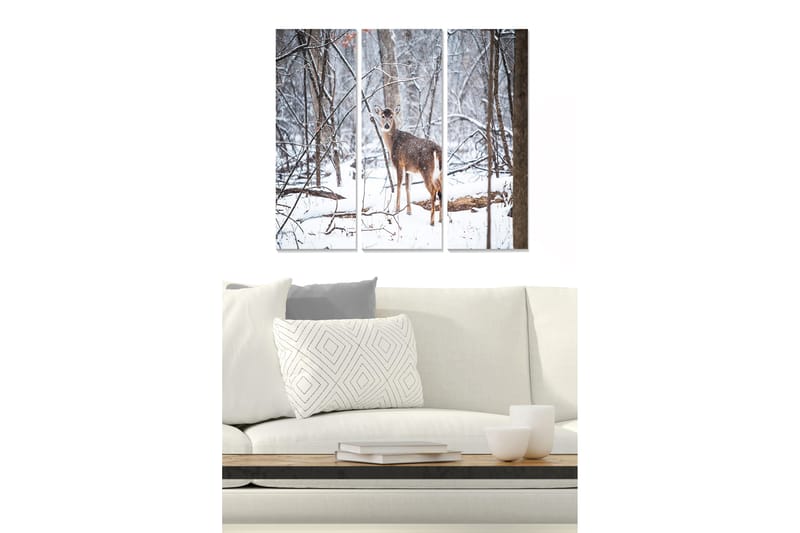 CANVASTAVLA Animal 3-pack Flerfärgad 20x50 cm - Inredning & dekor - Tavlor & konst - Canvastavla