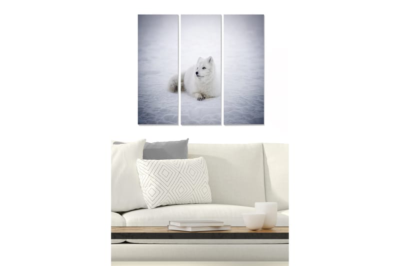 CANVASTAVLA Animal 3-pack Flerfärgad 20x50 cm - Inredning & dekor - Tavlor & konst - Canvastavla
