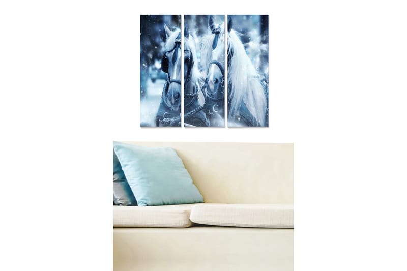 CANVASTAVLA Animal 3-pack Flerfärgad 20x50 cm - Inredning & dekor - Tavlor & konst - Canvastavla
