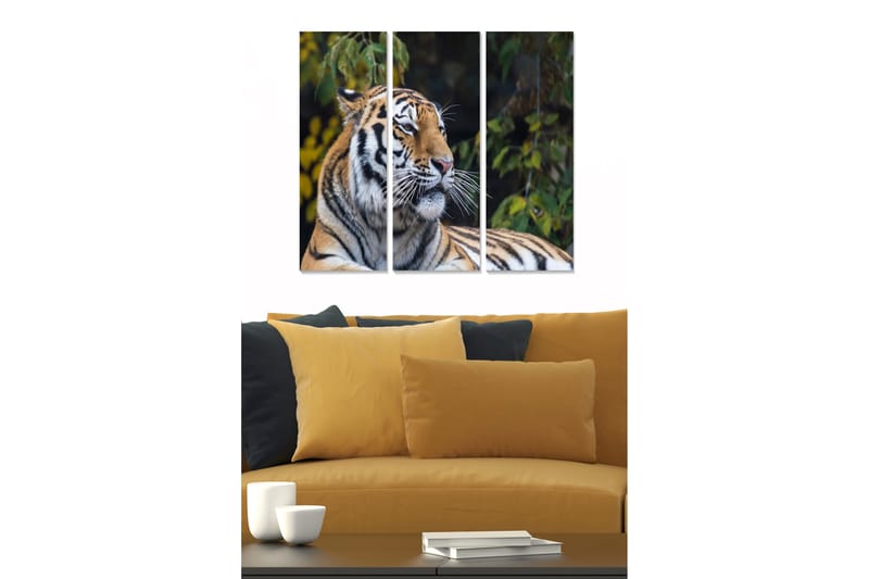 CANVASTAVLA Animal 3-pack Flerfärgad 20x50 cm - Inredning & dekor - Tavlor & konst - Canvastavla