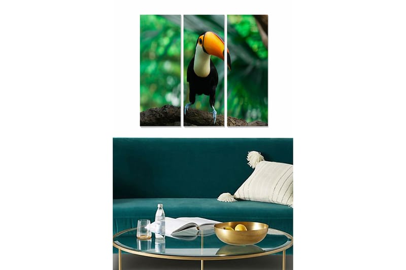 CANVASTAVLA Animal 3-pack Flerfärgad 20x50 cm - Inredning & dekor - Tavlor & konst - Canvastavla