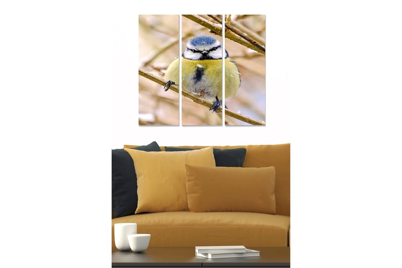 Canvastavla Animal 3-pack Flerfärgad, 20x50 cm