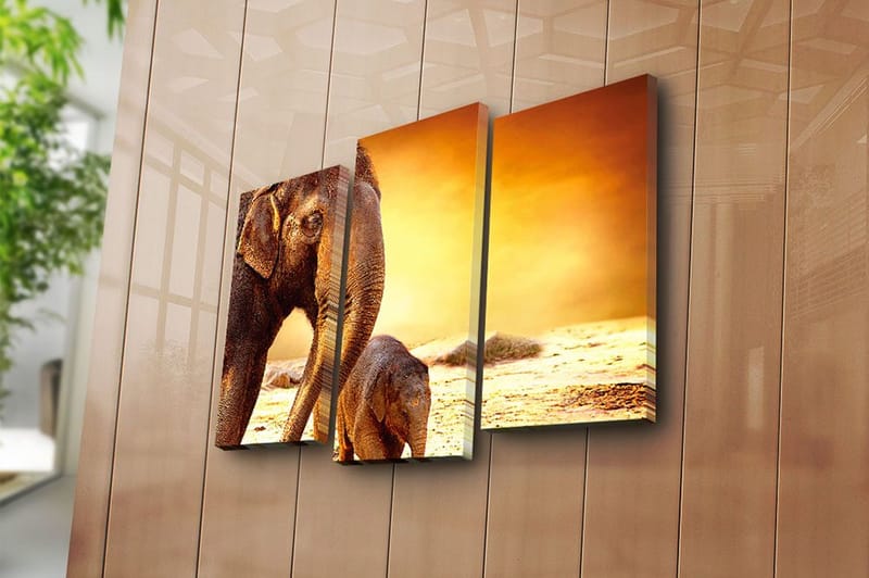 Canvastavla Animal 3-pack Flerfärgad - 20x39 cm - Inredning & dekor - Tavlor & konst - Canvastavla