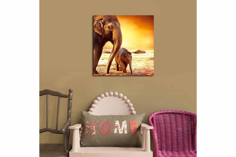 CANVASTAVLA Animal Flerfärgad 45x45 cm - Inredning & dekor - Tavlor & konst - Canvastavla