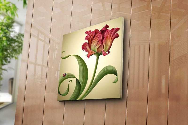 Canvastavla Animal Flerfärgad - 45x45 cm - Inredning & dekor - Tavlor & konst - Canvastavla