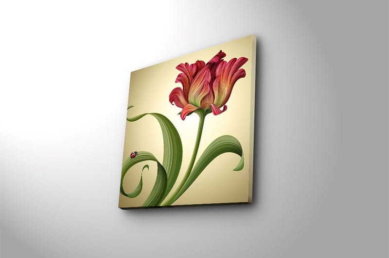 Canvastavla Animal Flerfärgad - 45x45 cm - Inredning & dekor - Tavlor & konst - Canvastavla