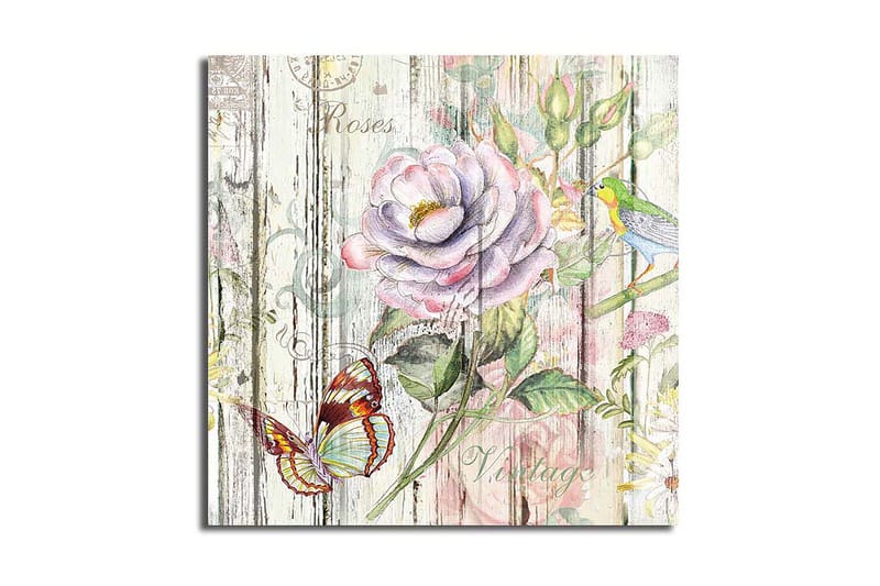 Canvastavla Animal Flerfärgad, 45x45 cm