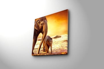 Canvastavla Animal Flerfärgad - 45x45 cm - Inredning & dekor - Tavlor & konst - Canvastavla