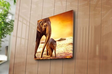 Canvastavla Animal Flerfärgad - 45x45 cm - Inredning & dekor - Tavlor & konst - Canvastavla