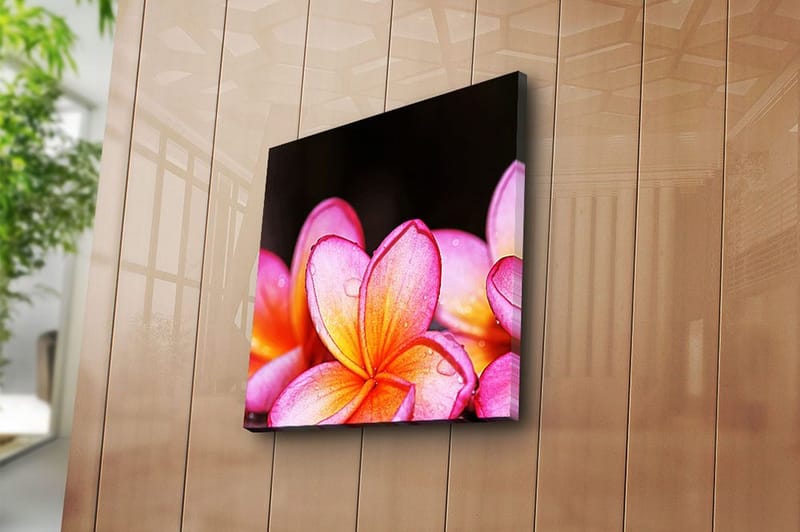 Canvastavla Animal Flerfärgad - 45x45 cm - Inredning & dekor - Tavlor & konst - Canvastavla