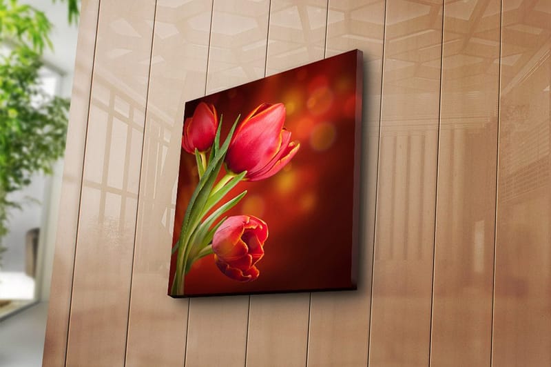 Canvastavla Animal Flerfärgad - 45x45 cm - Inredning & dekor - Tavlor & konst - Canvastavla