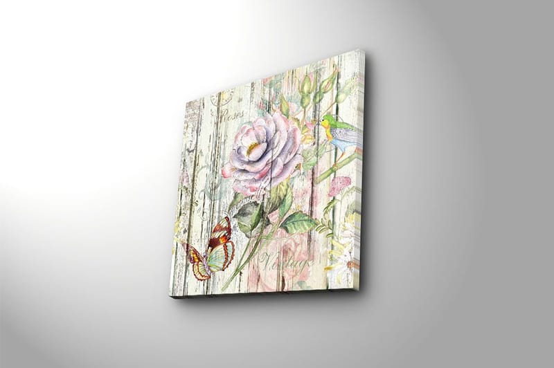 Canvastavla Animal Flerfärgad - 45x45 cm - Inredning & dekor - Tavlor & konst - Canvastavla