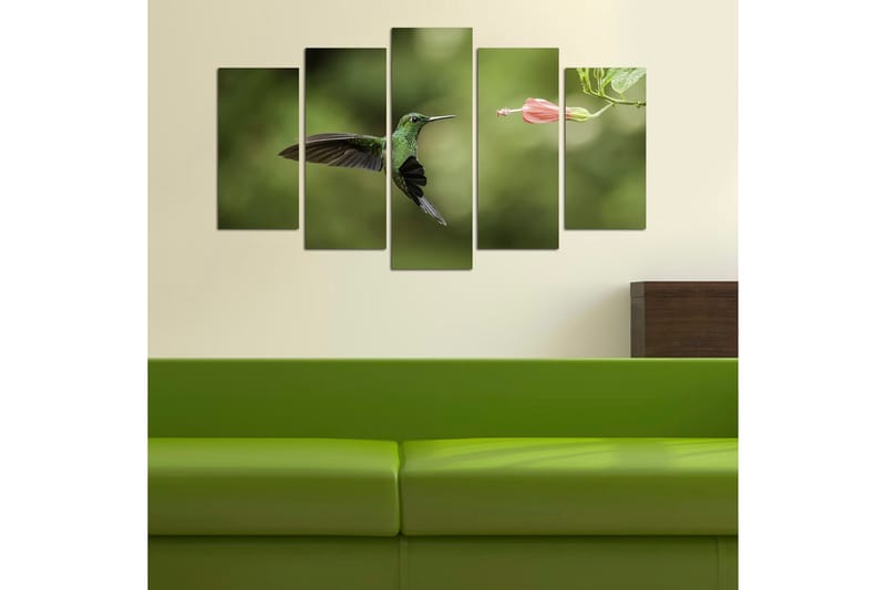 CANVASTAVLA Animals 5-pack Flerfärgad 20x60 cm - Inredning & dekor - Tavlor & konst - Canvastavla