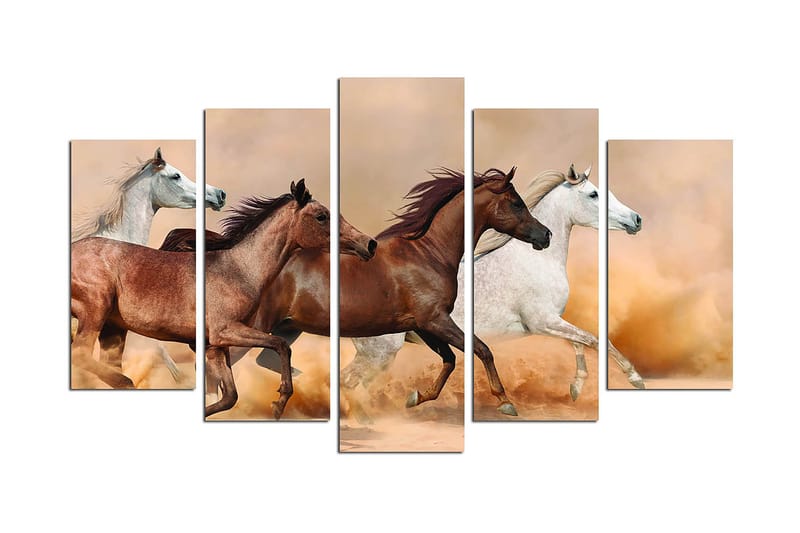 CANVASTAVLA Animals 5-pack Flerfärgad 20x60 cm - Inredning & dekor - Tavlor & konst - Canvastavla
