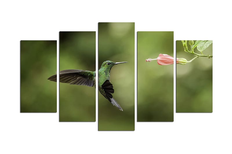 Canvastavla Animals 5-pack Flerfärgad, 20x60 cm