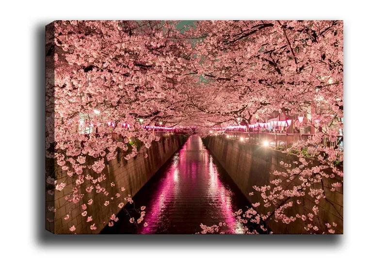 Canvastavla - Blommande körsbärsträd vid en kanal - Rosa / Grön / Lila - Inredning & dekor - Tavlor & konst - Canvastavla