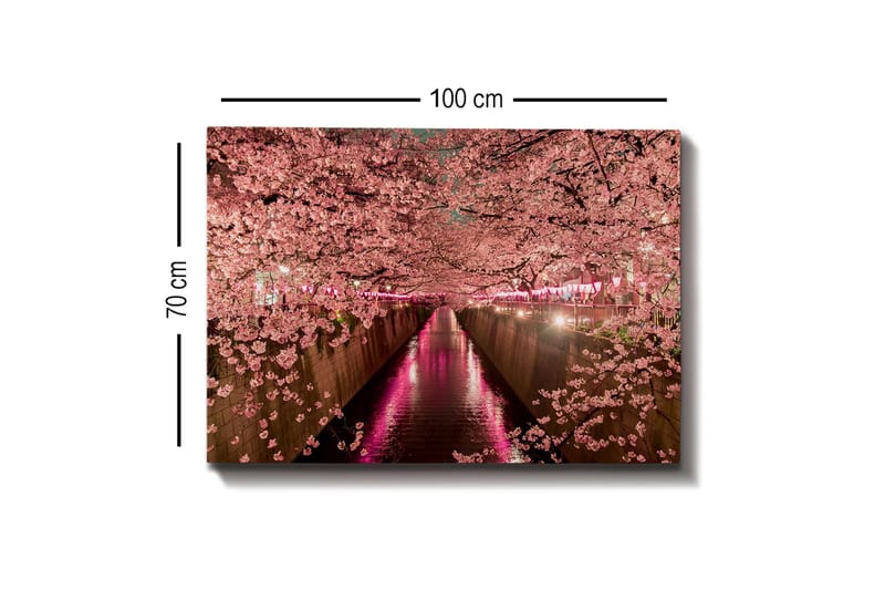 Canvastavla - Blommande körsbärsträd vid en kanal - Rosa / Grön / Lila - Inredning & dekor - Tavlor & konst - Canvastavla