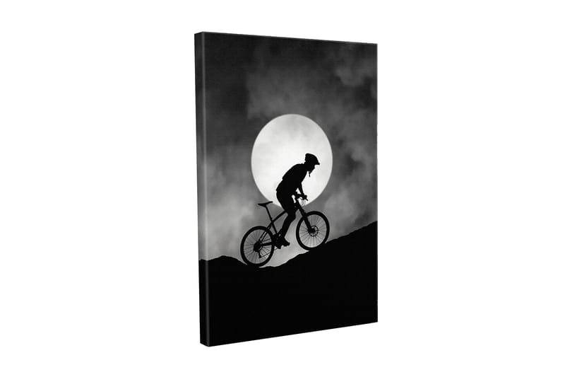 Canvastavla - Cyklist som klättrar uppför en kulle under en stor måne, Svart / Grå