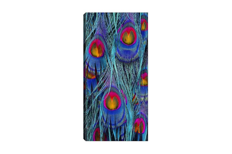 CANVASTAVLA DKY Abstract & Fractals Flerfärgad 50x120 cm - Inredning & dekor - Tavlor & konst - Canvastavla