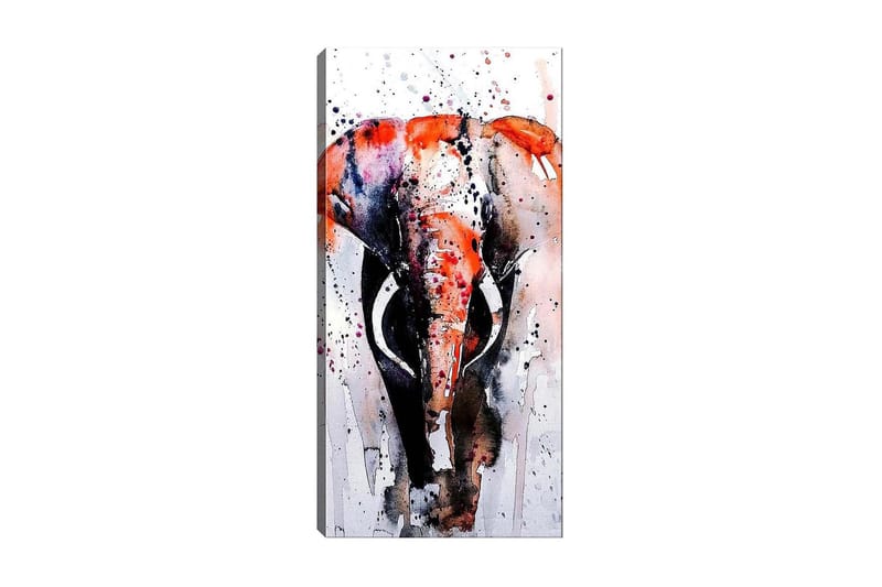 CANVASTAVLA DKY Animals Flerfärgad 50x120 cm - Inredning & dekor - Tavlor & konst - Canvastavla