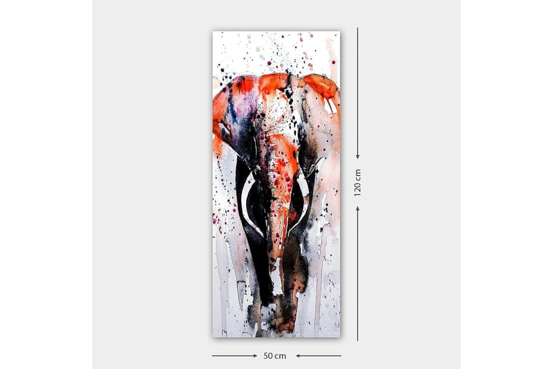 CANVASTAVLA DKY Animals Flerfärgad 50x120 cm - Canvastavla