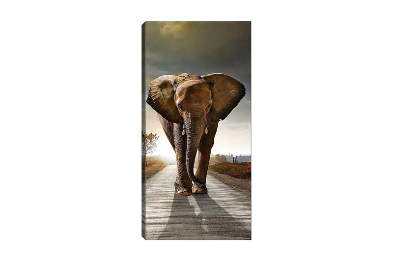 CANVASTAVLA DKY Animals Flerfärgad 50x120 cm - Inredning & dekor - Tavlor & konst - Canvastavla