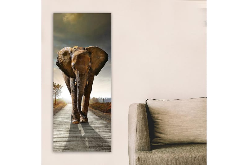 CANVASTAVLA DKY Animals Flerfärgad 50x120 cm - Inredning & dekor - Tavlor & konst - Canvastavla