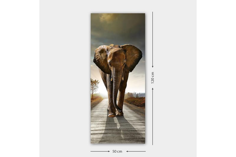 CANVASTAVLA DKY Animals Flerfärgad 50x120 cm - Inredning & dekor - Tavlor & konst - Canvastavla