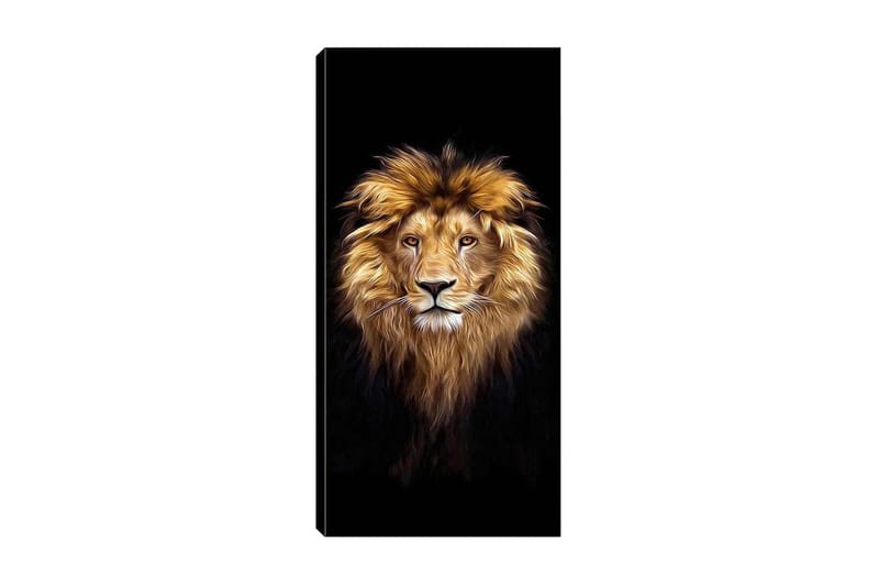 CANVASTAVLA DKY Animals Flerfärgad 50x120 cm