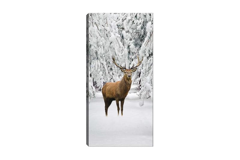 CANVASTAVLA DKY Animals Flerfärgad 50x120 cm - Inredning & dekor - Tavlor & konst - Canvastavla