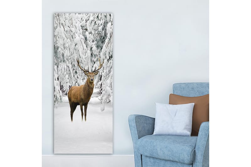 CANVASTAVLA DKY Animals Flerfärgad 50x120 cm - Inredning & dekor - Tavlor & konst - Canvastavla