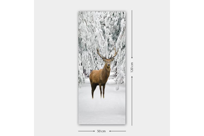 CANVASTAVLA DKY Animals Flerfärgad 50x120 cm - Inredning & dekor - Tavlor & konst - Canvastavla