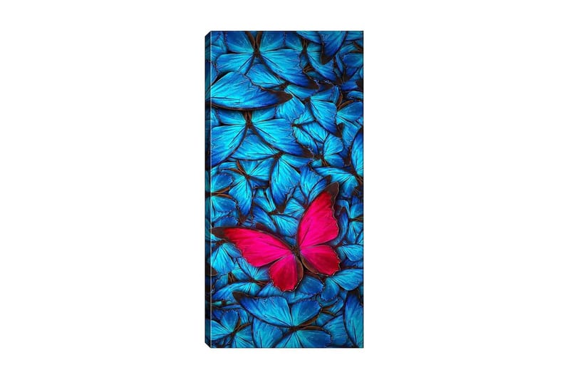 CANVASTAVLA DKY Animals Flerfärgad 50x120 cm