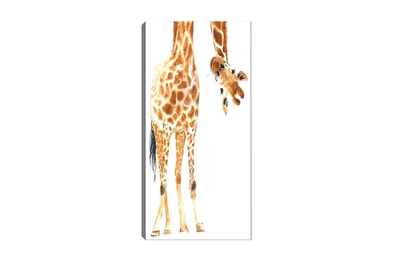 CANVASTAVLA DKY Animals Flerfärgad 50x120 cm - Inredning & dekor - Tavlor & konst - Canvastavla