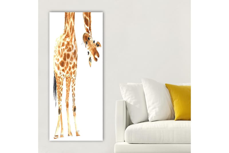 CANVASTAVLA DKY Animals Flerfärgad 50x120 cm - Inredning & dekor - Tavlor & konst - Canvastavla