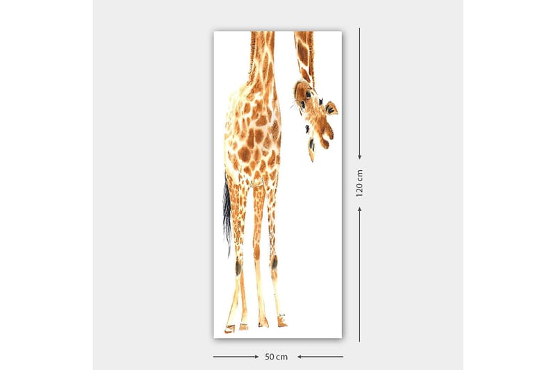 CANVASTAVLA DKY Animals Flerfärgad 50x120 cm - Inredning & dekor - Tavlor & konst - Canvastavla
