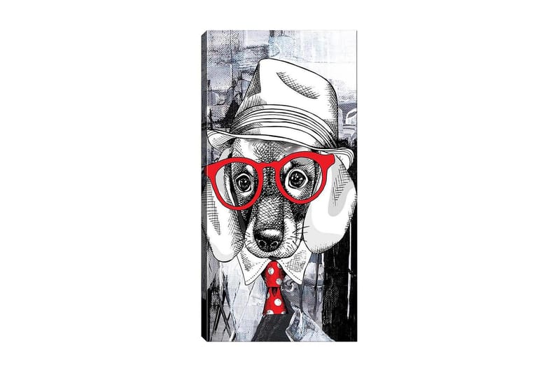CANVASTAVLA DKY Animals Flerfärgad 50x120 cm - Inredning & dekor - Tavlor & konst - Canvastavla
